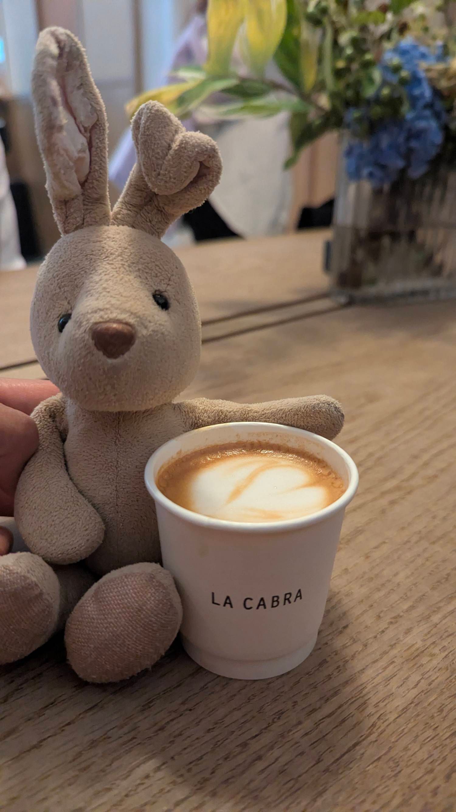 Cortado at La Cabra
