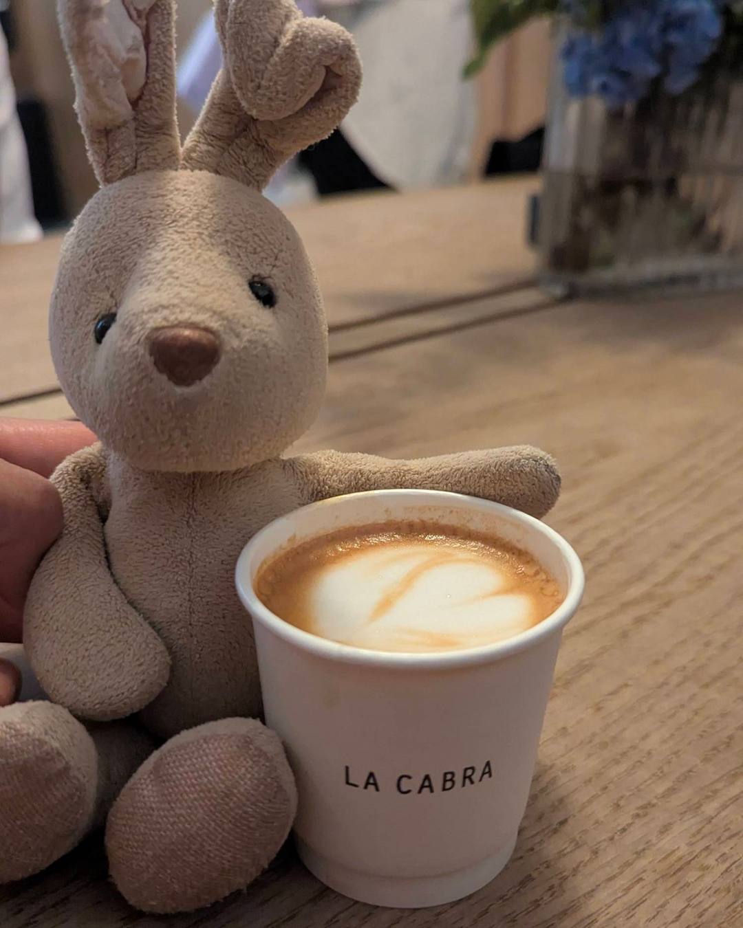 Cortado at La Cabra